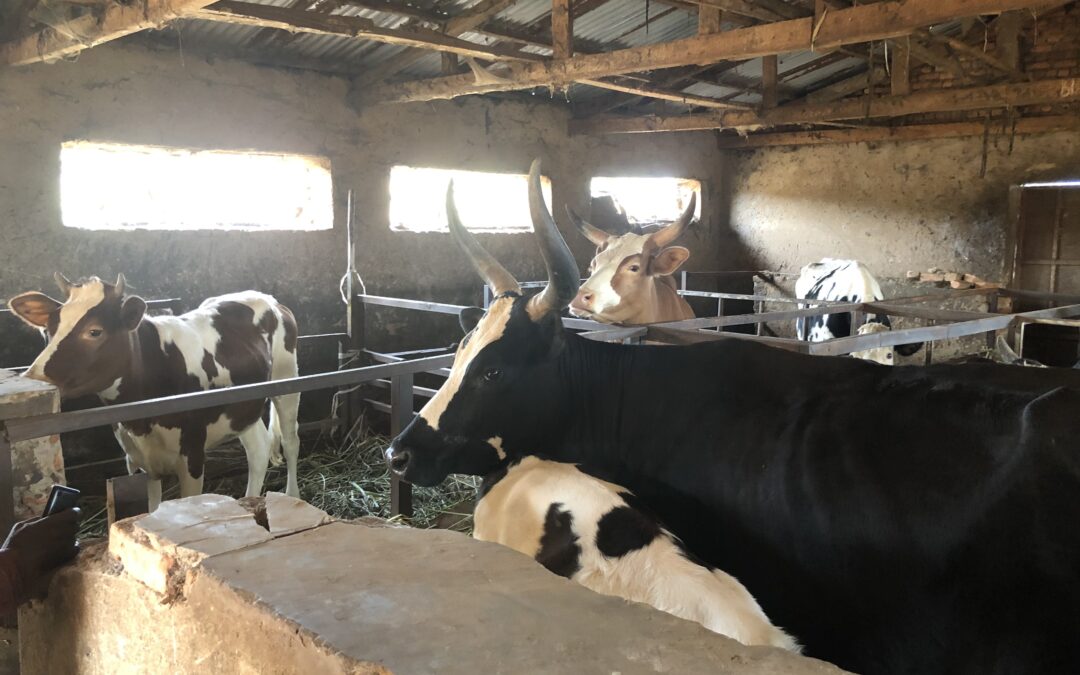 August 2025 Travel Itinerary