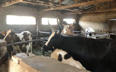 August 2025 Travel Itinerary